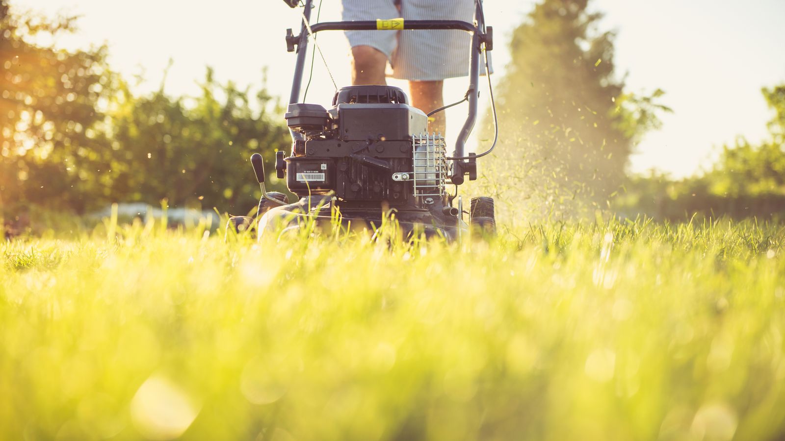 Crew mowing a lawn